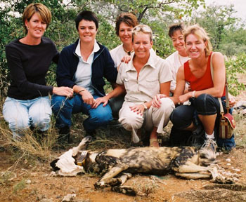 Südafrika Spezial Safari für Tiermediziner und Wildlife Fans